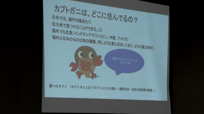 カブトガニの産卵を迎える夕べの会と竹灯篭まつり 児童から大人までの竹灯籠の作品が並ぶ(7月22日)｜55いまりアーカイブス｜伊万里ケーブルテレビジョン
